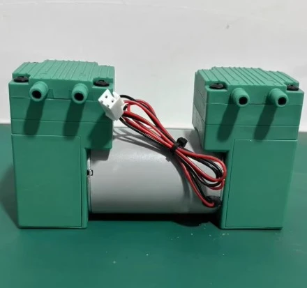 Dual Head Diaphragm Air Pump 12V 220V for Beauty Device, 8L/min High Flow Positive Negative Pressure Silent Mini Pump