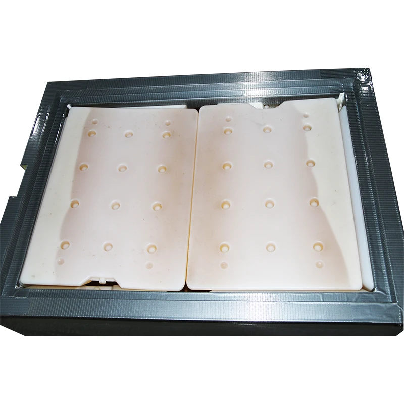 For 196 Liter Medical Vaccine Cooler Box Insulated Shipping Plastic Box For Cold Chain Transportation