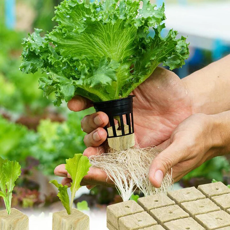 مكعبات وسائط الزراعة المائية ، دفيئة حديقة منزلية ، صخور زراعة إسفنجية ، سدادات بدء الصوف ، أدوات الحدائق ، 36: 50: 50 #5