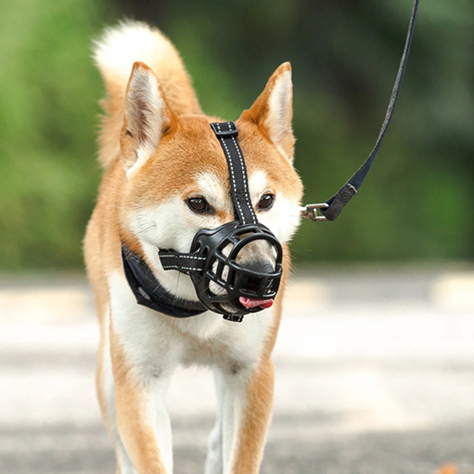 كمامة للكلاب قابلة للتعديل من مادة Tpr قابلة للتنفس ومضادة للحشرات للكلاب المتوسطة والكبيرة، كمامة آمنة للحيوانات الأليفة في الهواء الطلق، جرو محمول
