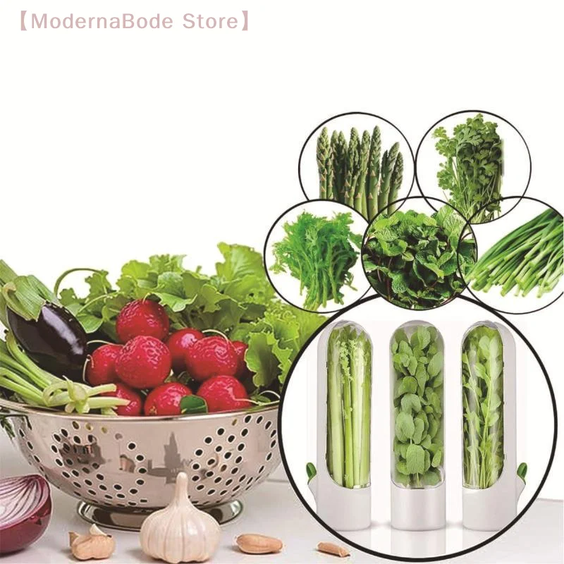 【M】1PC Herb Saver Storage Cont - Herb Keeper Container recension och pris