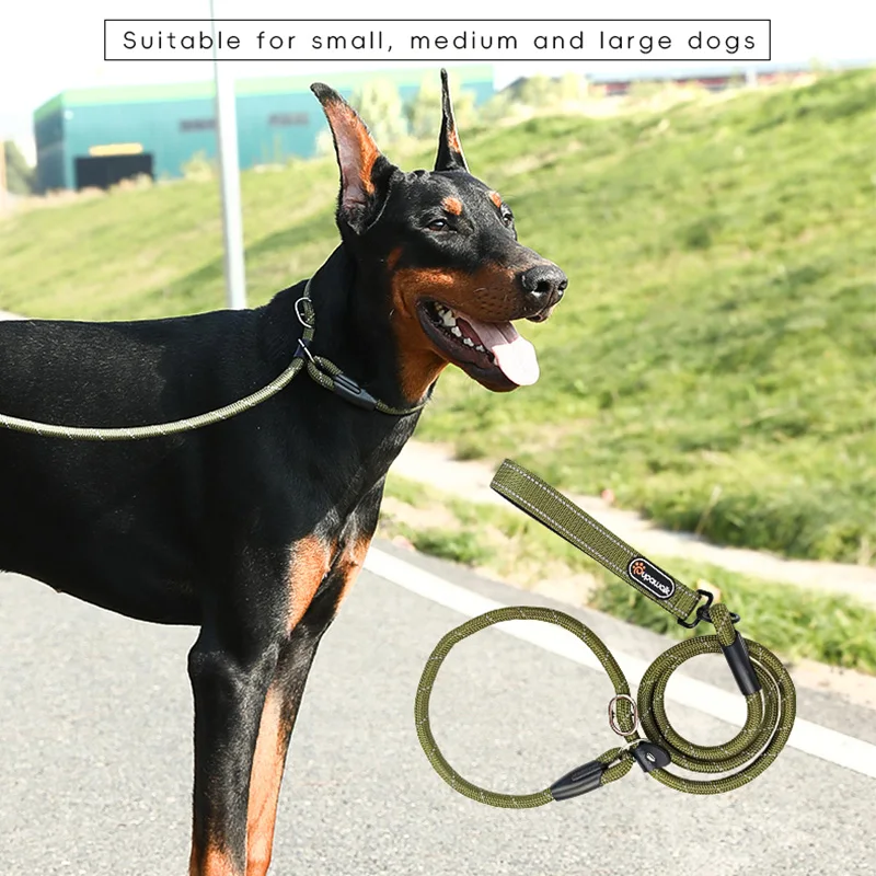 Choice Rope Training Slip Lead Dog Leash Reflective Ribbons Webbing For Pet Dogs Accessories