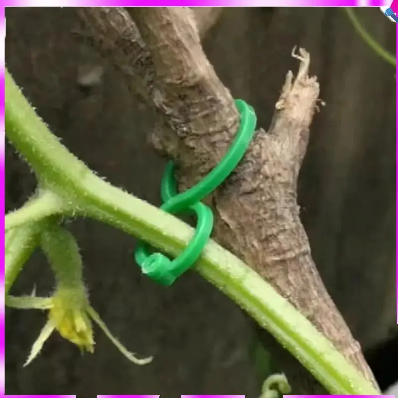 

N96R 500Pcs Vine Strapping Clips For Growing Upright Plant Holder Green Plastic Bundled Ring Garden Stand Tool Vine Support