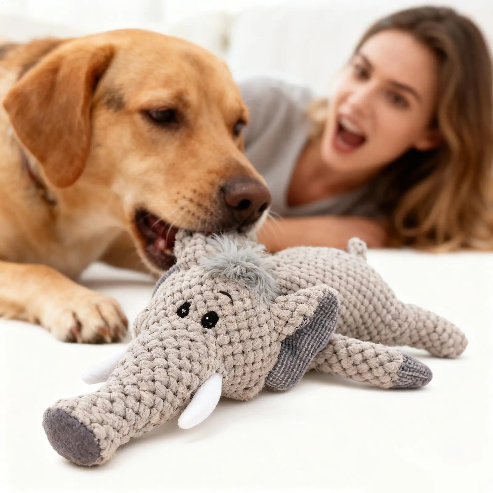 Welpen-Kauspielzeug Weiches Quietschendes Kauspielzeug für Kleine Hunde Interaktives Spiel Training Langeweile-Linderung Innen- und Außenbereich Haustier-Geschenk