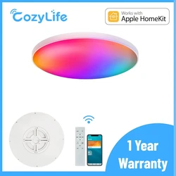 HomeKit-モダンなスマートLEDシーリングライト,24W,調整可能な光強度,超薄型,取り付けられたシーリングライト,Alexaベースと互換性あり