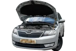 for Skoda Rapid NH1/2/3 2012-2021 Front Bonnet Hood Modify Gas Struts Carbon Fiber Spring Damper Lift Support Absorber