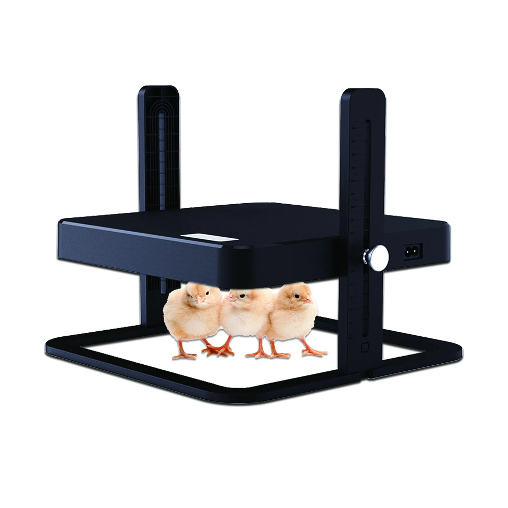 

High Quality Durable Height Adjustable Chicken Brooding Box Brooder Young Bird