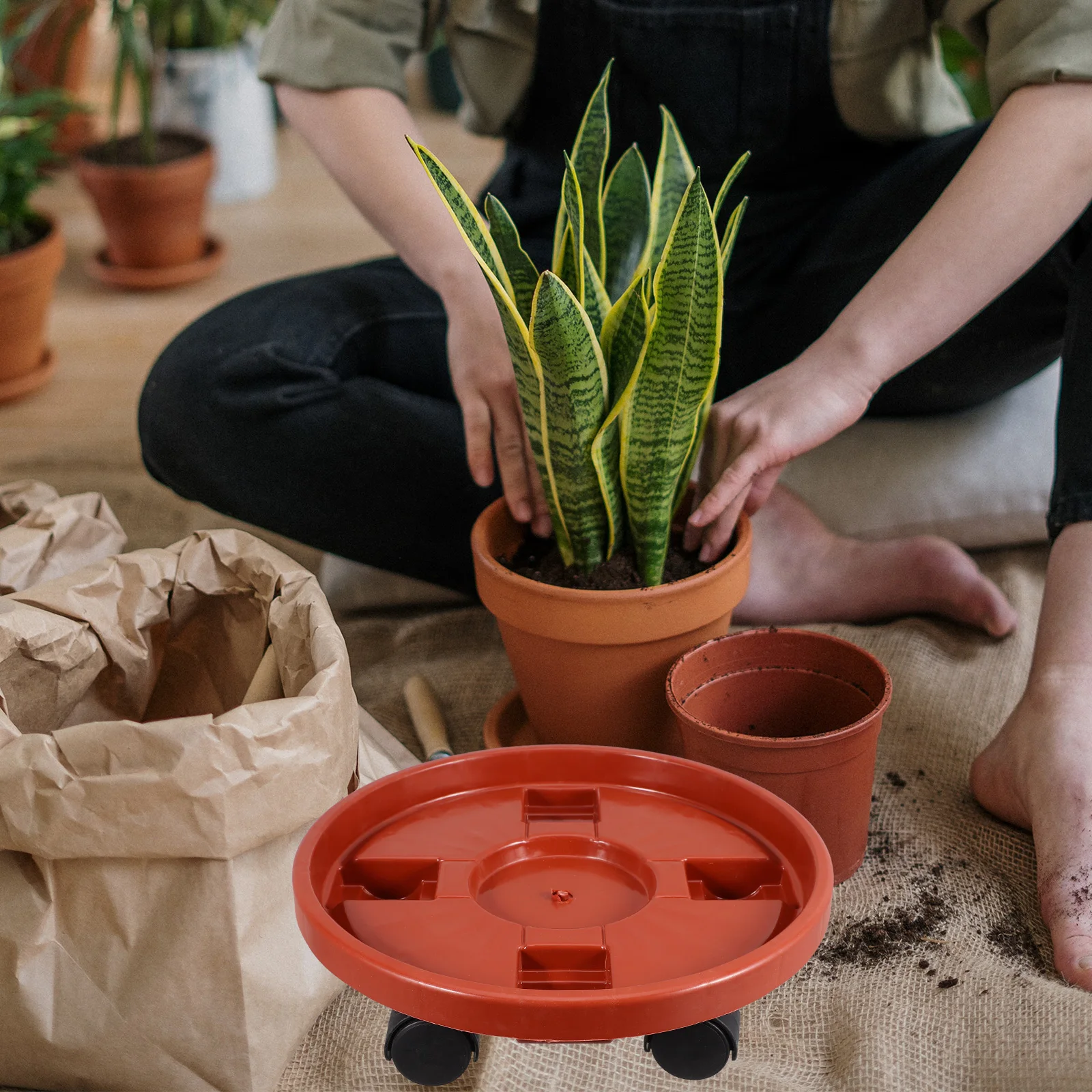 

Pot Tray with Wheels Rolling Caster for Plants Succulent Saucer Plant Pots Tray Plastic Plant Pot Wheels Sturdy