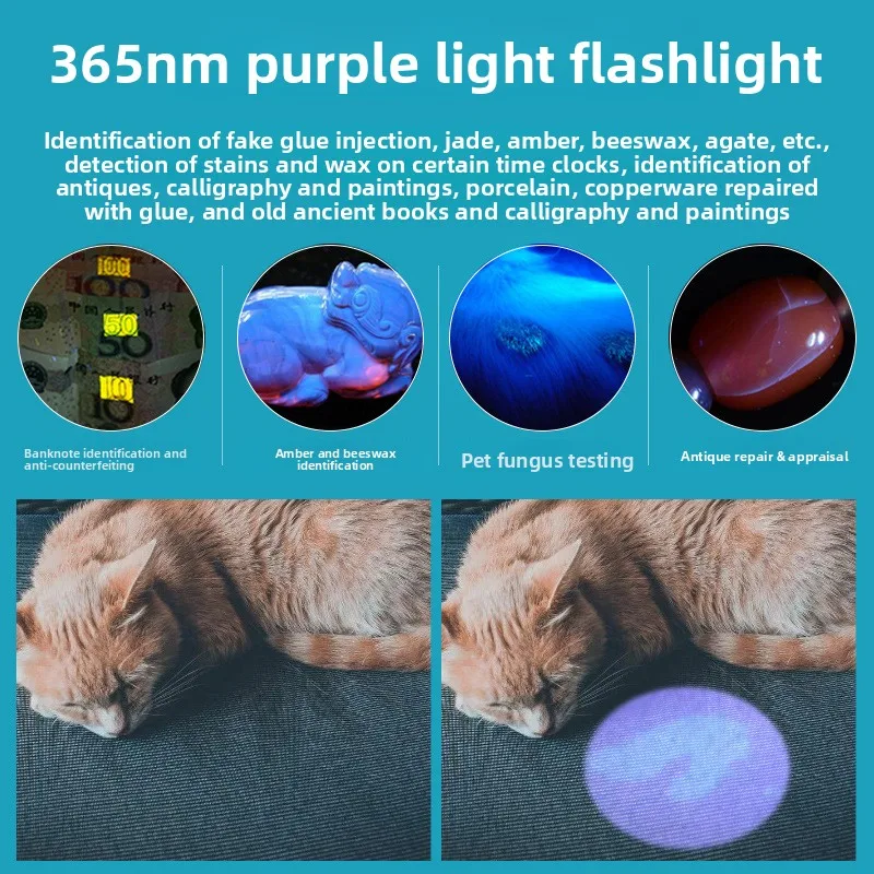 Lampe à motif de chat, miroir UV à lumière noire, détecteur d'argent, Agent Fluorescent, stylo de test, lampe de poche à lumière violette 365nm