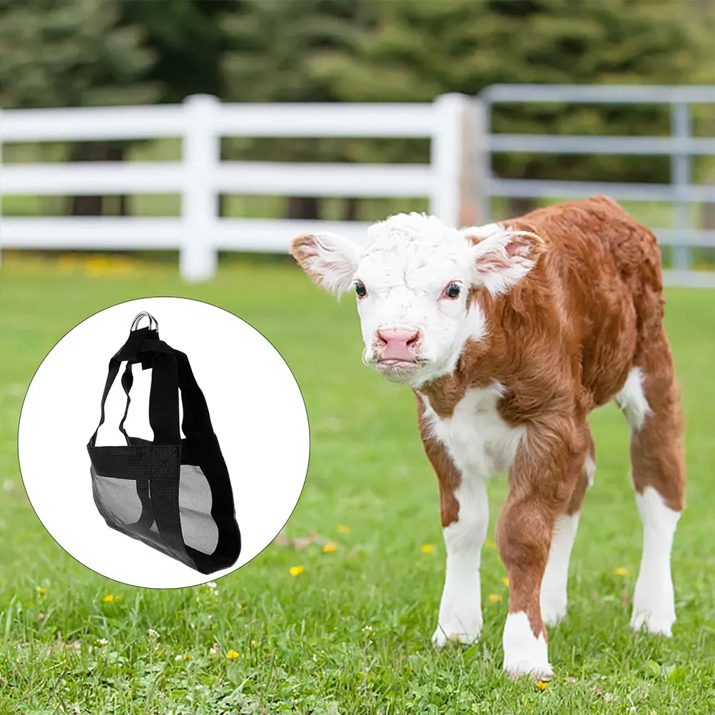 

2 Pcs Small Animals Weigh Sling Puppy Carrier Scale Tool Mesh Dog Lifting Harness Pet Goat Animal Durable Practical H