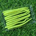 GD48 10PCS 02