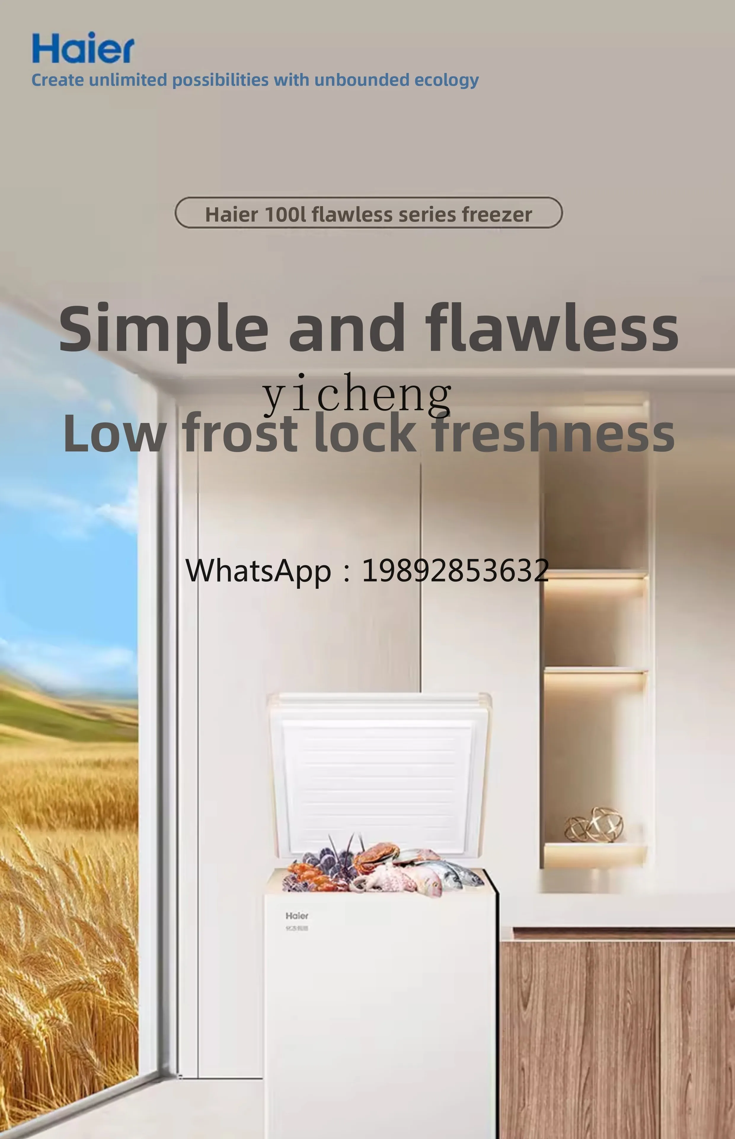 Household Small Full Freezer Refrigerator 100/200L Freezer First-Class Energy Efficiency Non-No Frost
