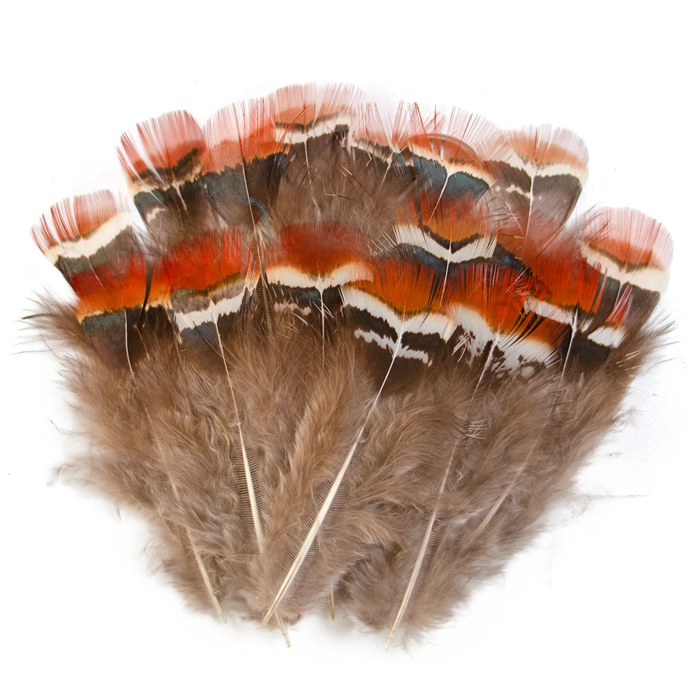 Natural Pheasant Peacock Pheasant Feather Wholesale Small Plume Handicraft Accessories for Jewelry Creation Holiday Decoration
