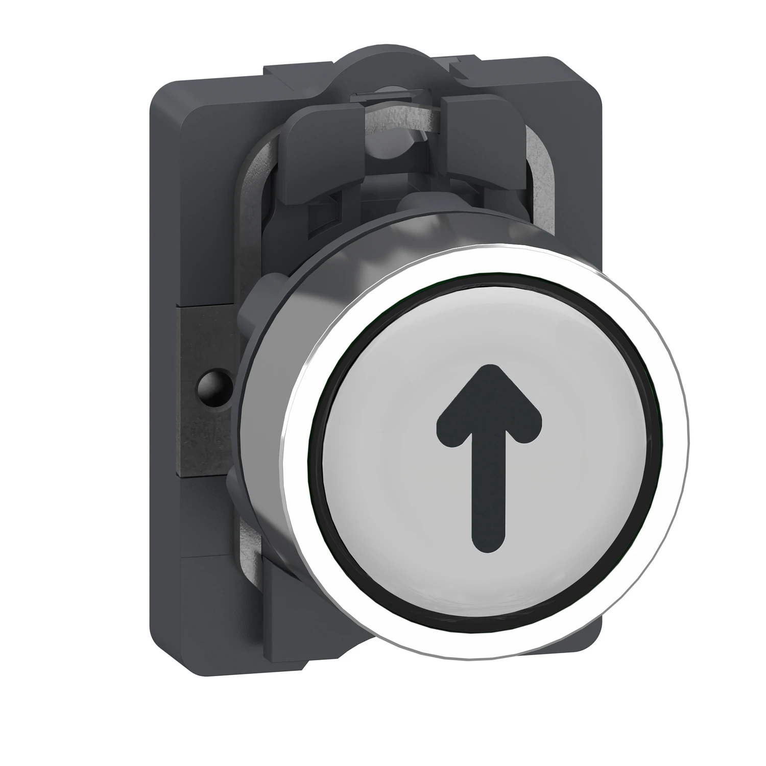 Marked head push-button XA2EA3341 new model XA2AA3341