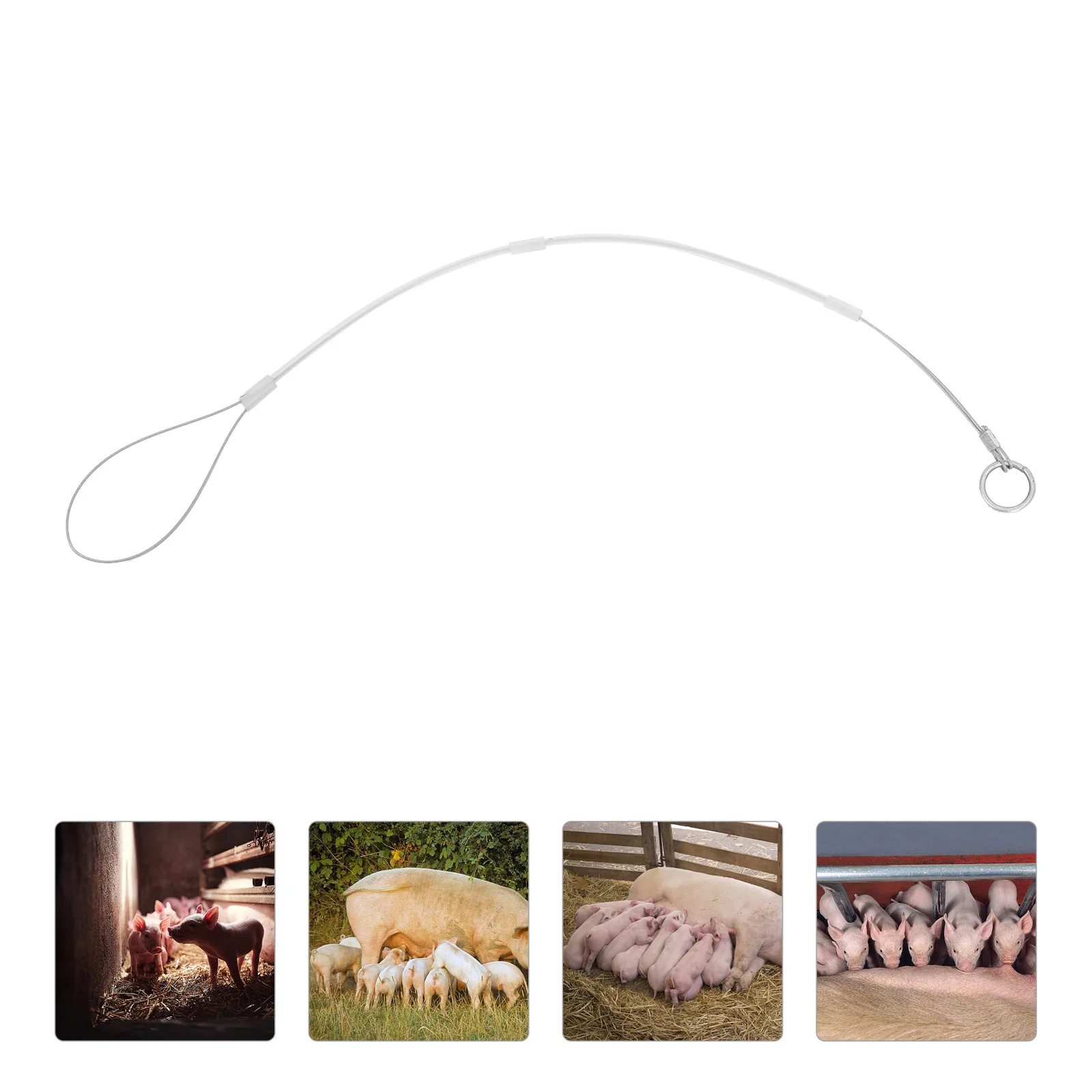 

Midwifery Hook for Sow Pig Delivery Tool Cattle Rope Roping Farm Accessory Birthing Aid Animal Husbandry Equipment Wire