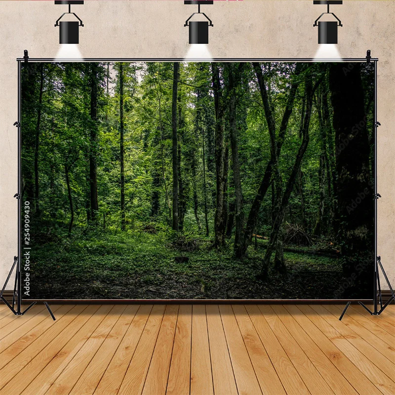 Fondo de fotografía de coníferas tropicales, bosque misterioso, musgo, árboles caídos, utilería de naturaleza antigua, paisaje, tema, ZL-12