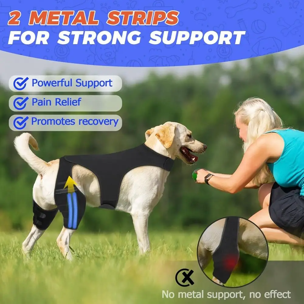 Thumbnail 4 - #15 Trending Pet Agility Equipment Right Now