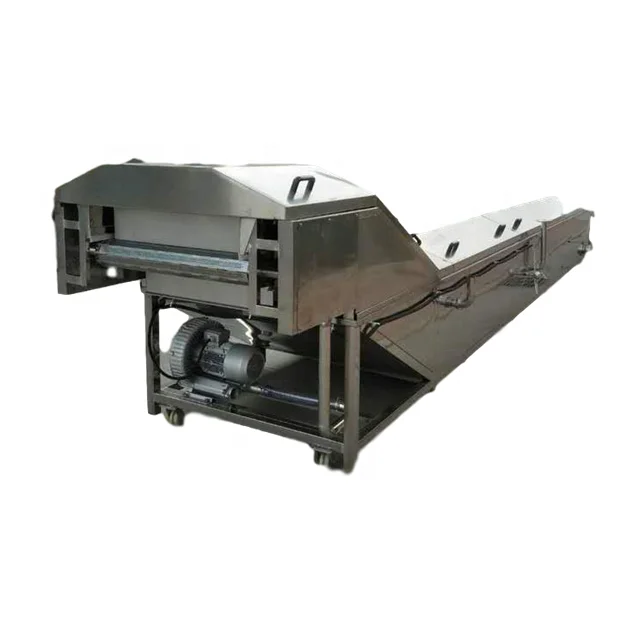 FL Fruit and Vegetable Blanching Machine Auto Temperature Control Blancher for Vegetable De‑enzyme Treatment