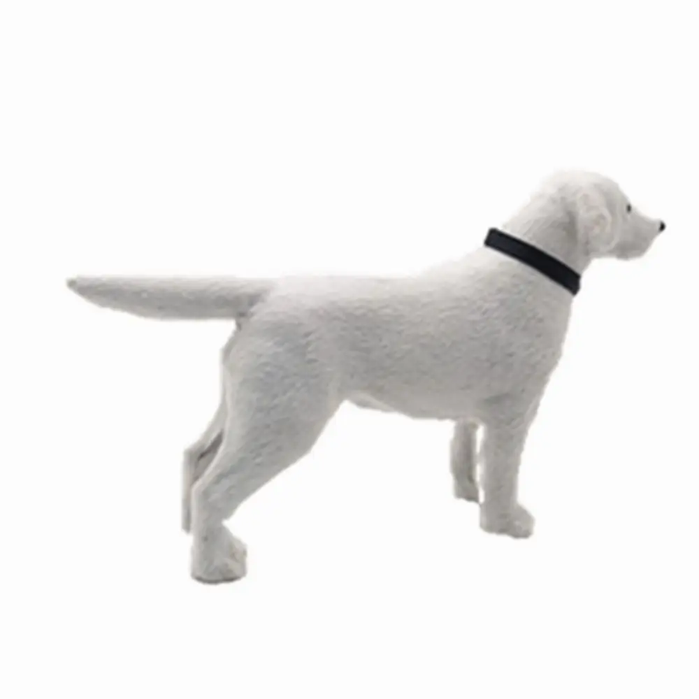 Collezione artigianale animale simulato Labrador cane modello nuove figurine miniature modelli di cani decorazione artigianato