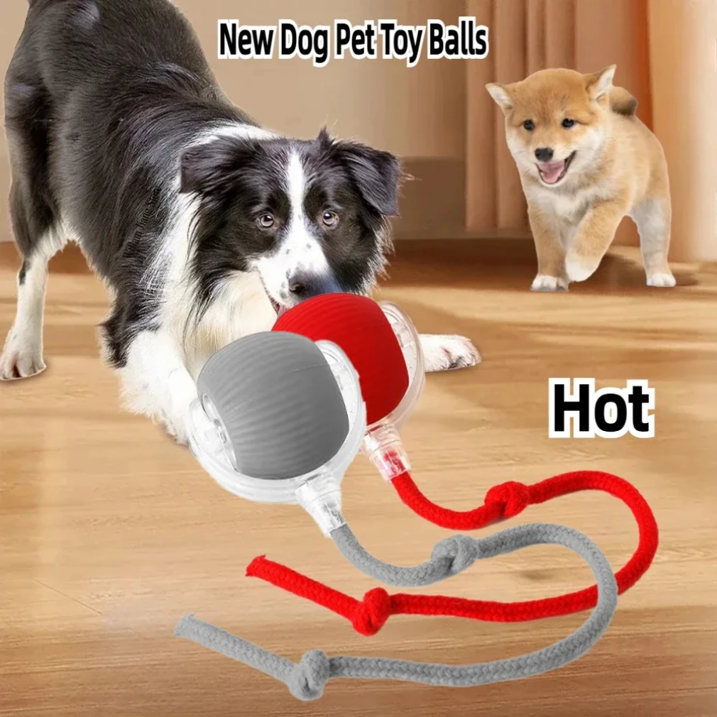 

Rechargeable Smart Pet Interactive Automatic Rolling Ball Toy Cats Pet Products New Electric Dog Ball Toy Simulated Tail For Cat