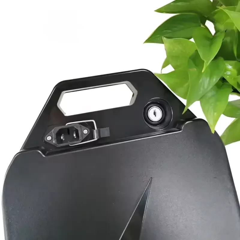 60V 20Ah Li-ion Replacement Battery – Removable for Electric Scooter & E-Motorbike, Plug-and-Play