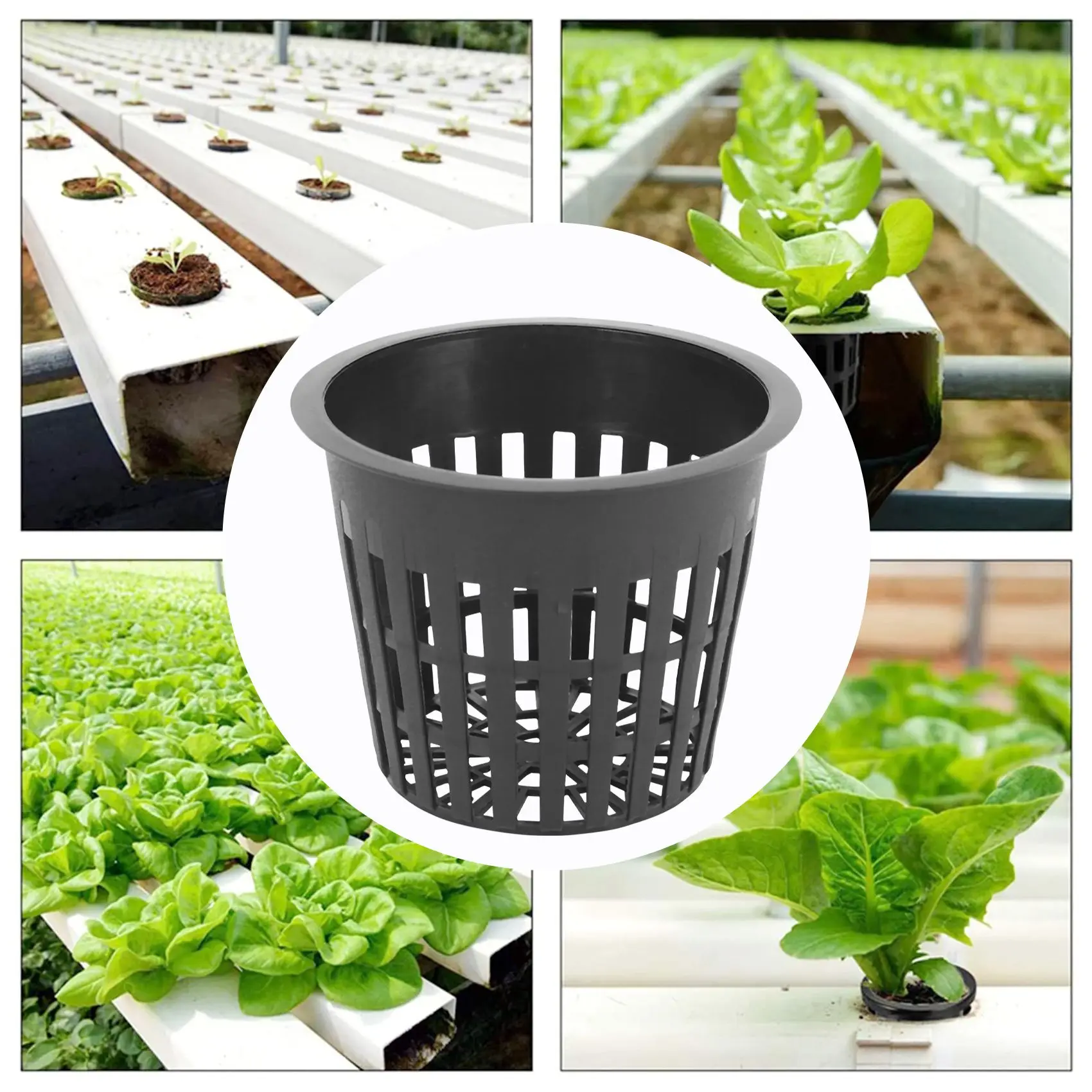 Hot 45 Pieces Hydroponic Net Pots, Plastic Net Pot for Garden Balcony Hydroponics and Soilless Culture (8Cm)