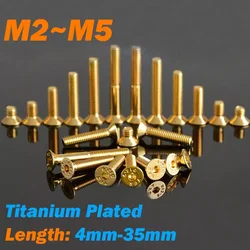 Grade 12.9 Plating Titanium Plating Gold Allen Bolts M2 M2.5 M3 M4 M5 Socket Hexagon Countersunk Head Screw DIN7991
