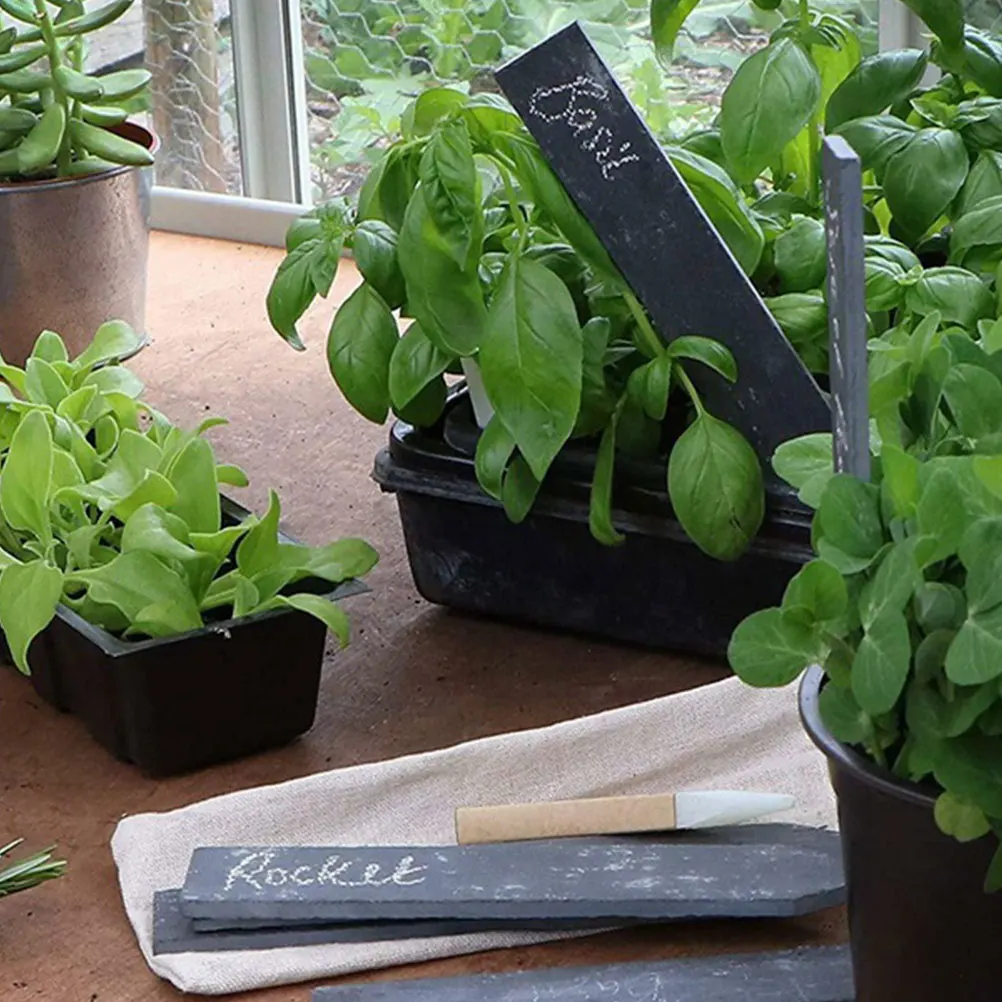 

6 Pcs Plant Label Reusable Labels Garden Markers Flower for Outdoor The Sign Sturdy Stone Plants Indoor