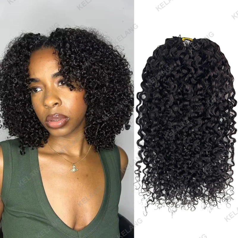 Burmese Deep Curly …