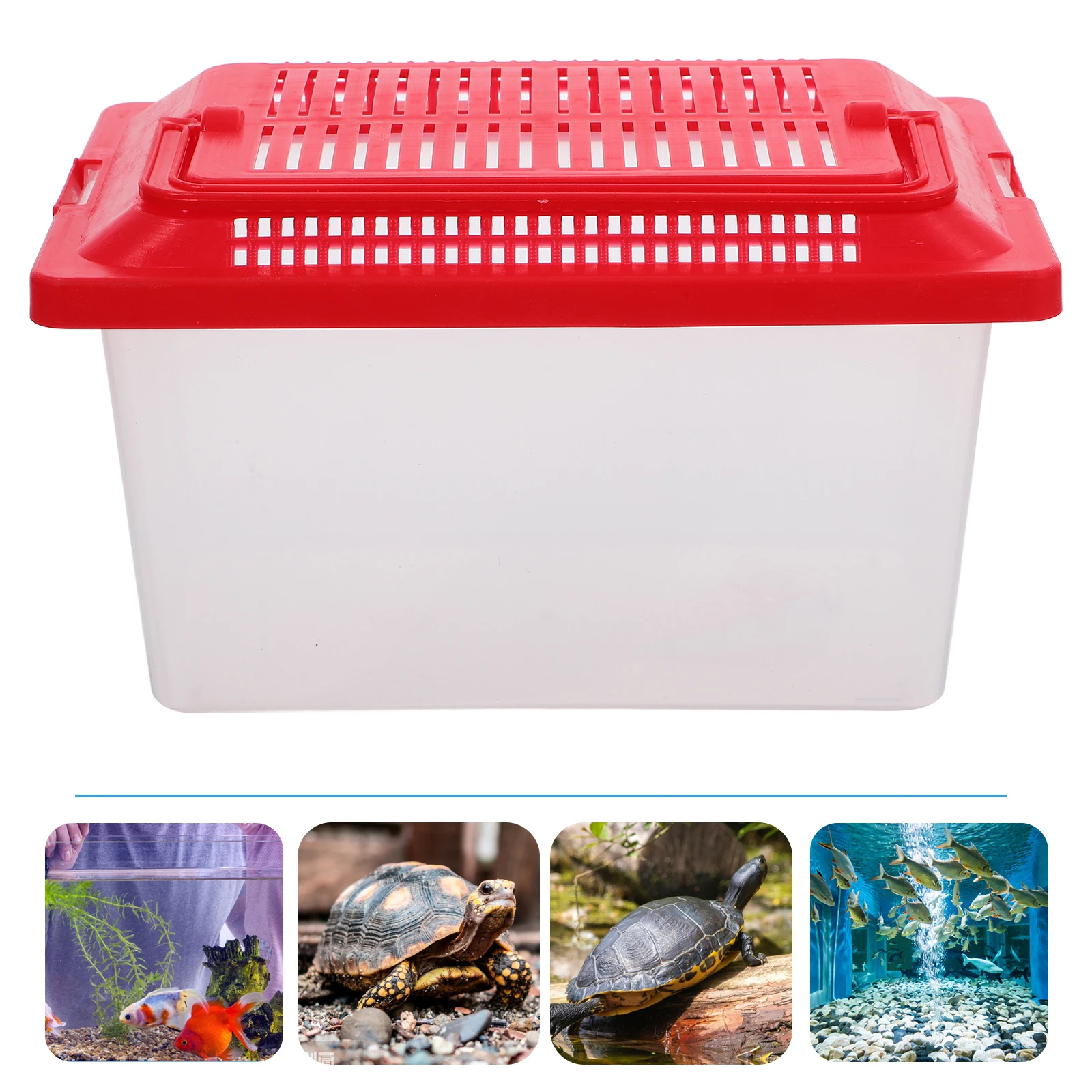 

Pet Transport Box Fish Tank Small Aquarium Travel Portable Turtle Habitat with Handle Plastic Minnow Baby Hamster Tanks