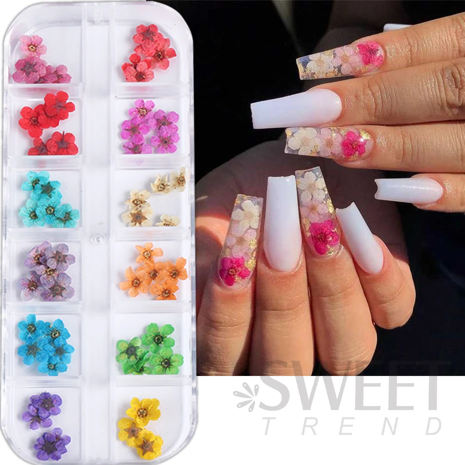 3D suche kwiaty zdobienie paznokci dekoracje rękodzieło dekoracyjne do domu naturalne suszone naklejki kwiatowe Charms DIY Manicure wzory akcesoria