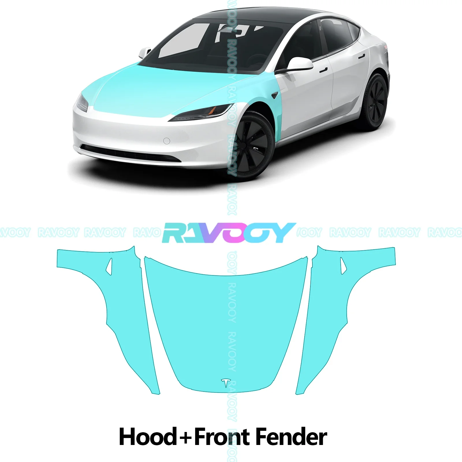 Hood - Front Fender