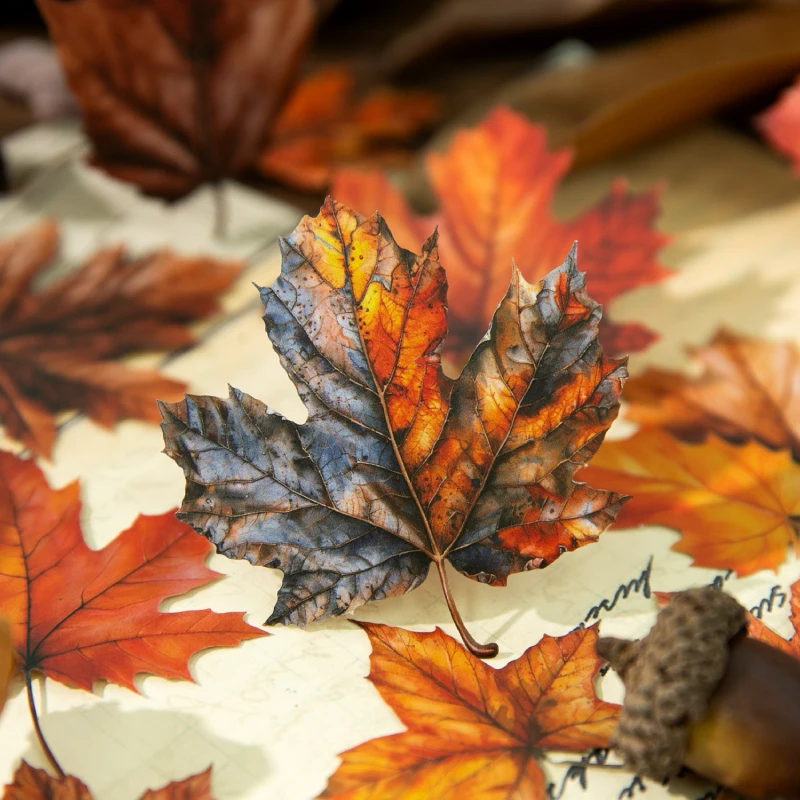 ジャーナル GO 20 個 ゴールデンオータム 落ち葉 風景 - Art And Craft Autumn のレビューと価格