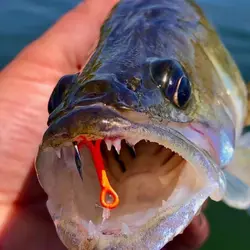 FishTrip 2X anzuelos triples UV anticorrosión para lubina agua salada