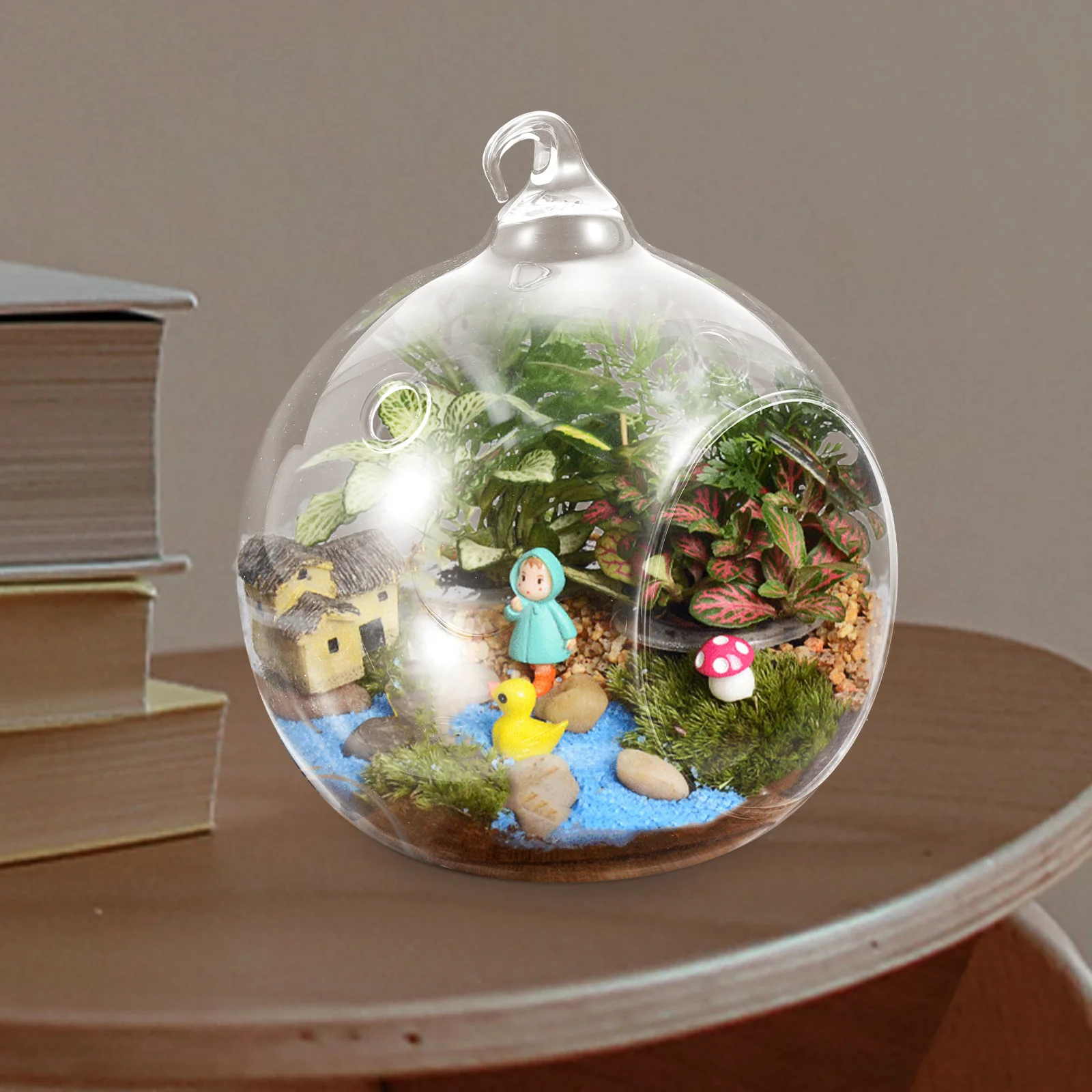 

Live Plant Terrarium Wall Hanging Jars Air Container Containers Globe Clear Decor