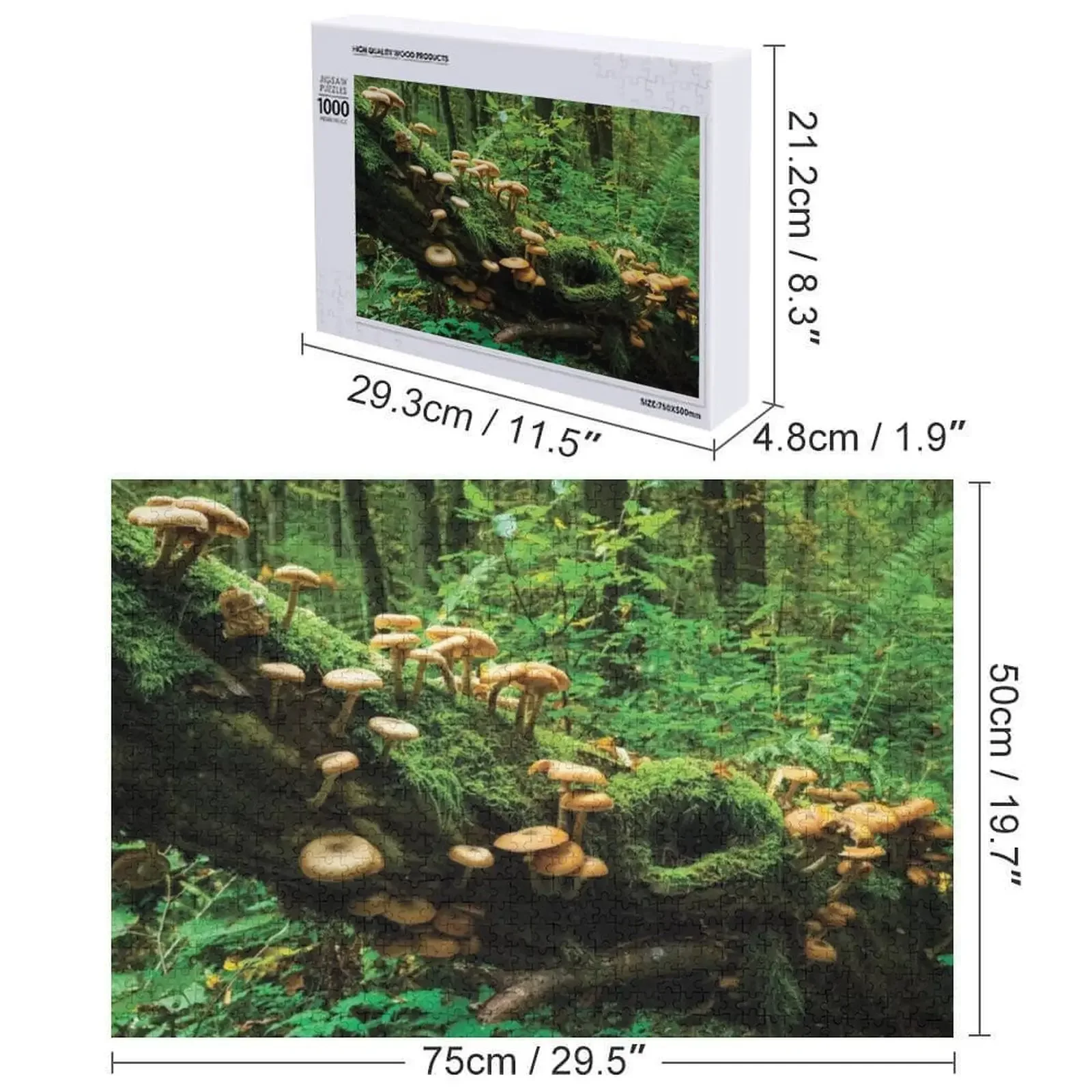 Bialowieza Funghi della foresta Jigsaw Puzzle Decorazioni in legno Dipinti Puzzle personalizzato