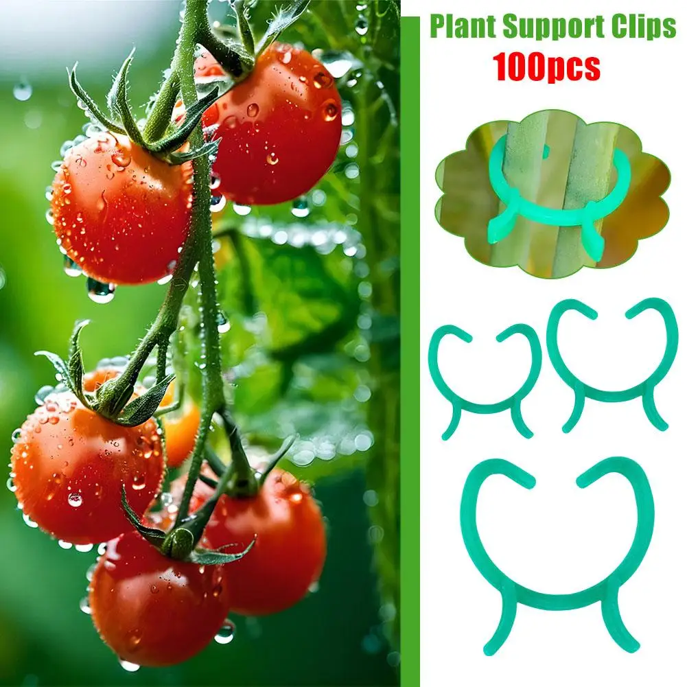 Clips de Support de Plantes en Plastique, Clips de Jardin Réutilisables pour Plantes Grimpantes, Vigne de Tomate F1V5, 100 Pièces