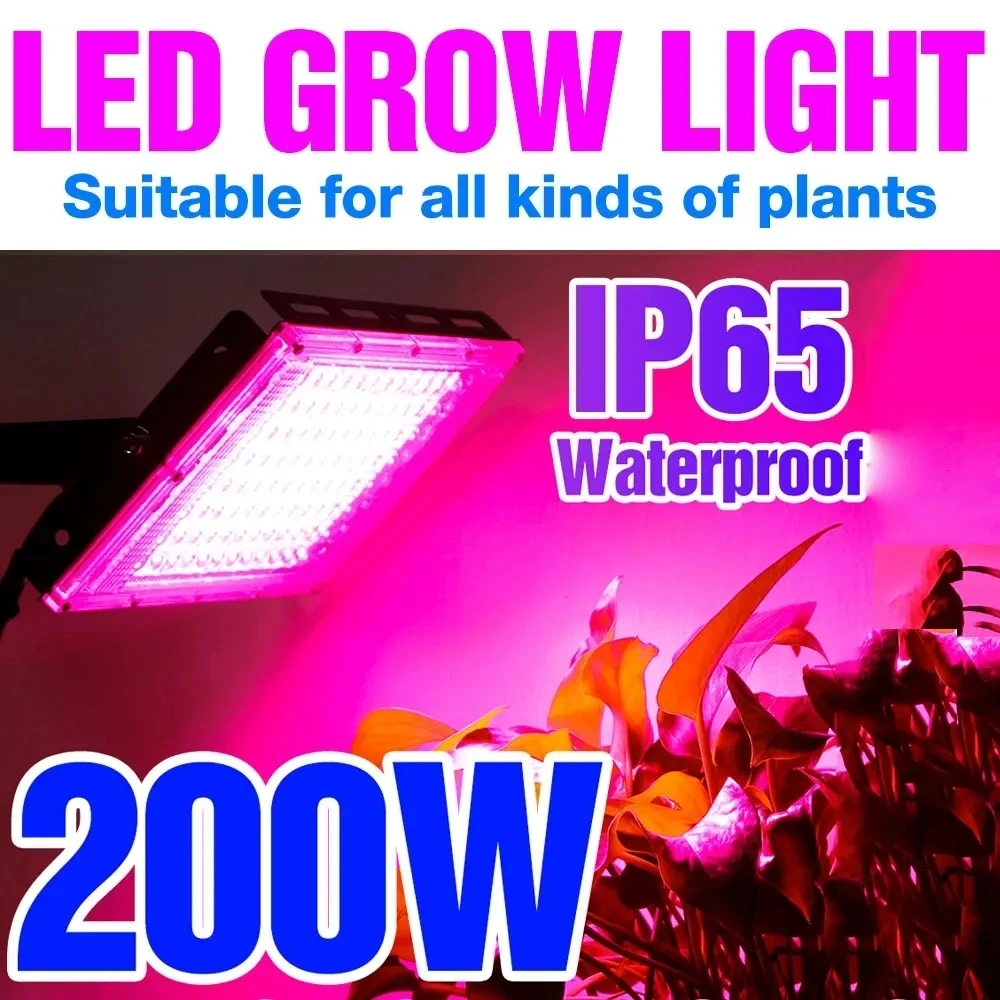 Full Spectrum LED Grow Light, Phytolamp para plantas, Cultivo interior, 50W, 100W, 200W, 300W, Luzes negras para vegetais e flores