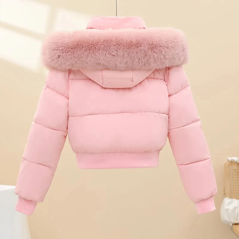 جديد الشتاء أسفل معطف القطن المرأة الفراء طوق مقنعين طويلة الأكمام قصيرة عادية رشاقته الدافئة ملابس خارجية سترة سليم سيدة أبلى #5