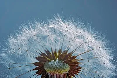 

for SCX30 0.7 Inch Soft Rubber Tires 40×16mm With Foam Inserts for 1/30 Scale RC Crawler Axial SCX30 Micro Crawler