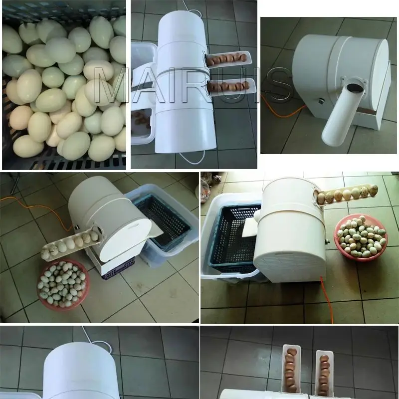 

Промышленная машина для мойки утиных и куриных яиц из нержавеющей стали, 2300 шт./час