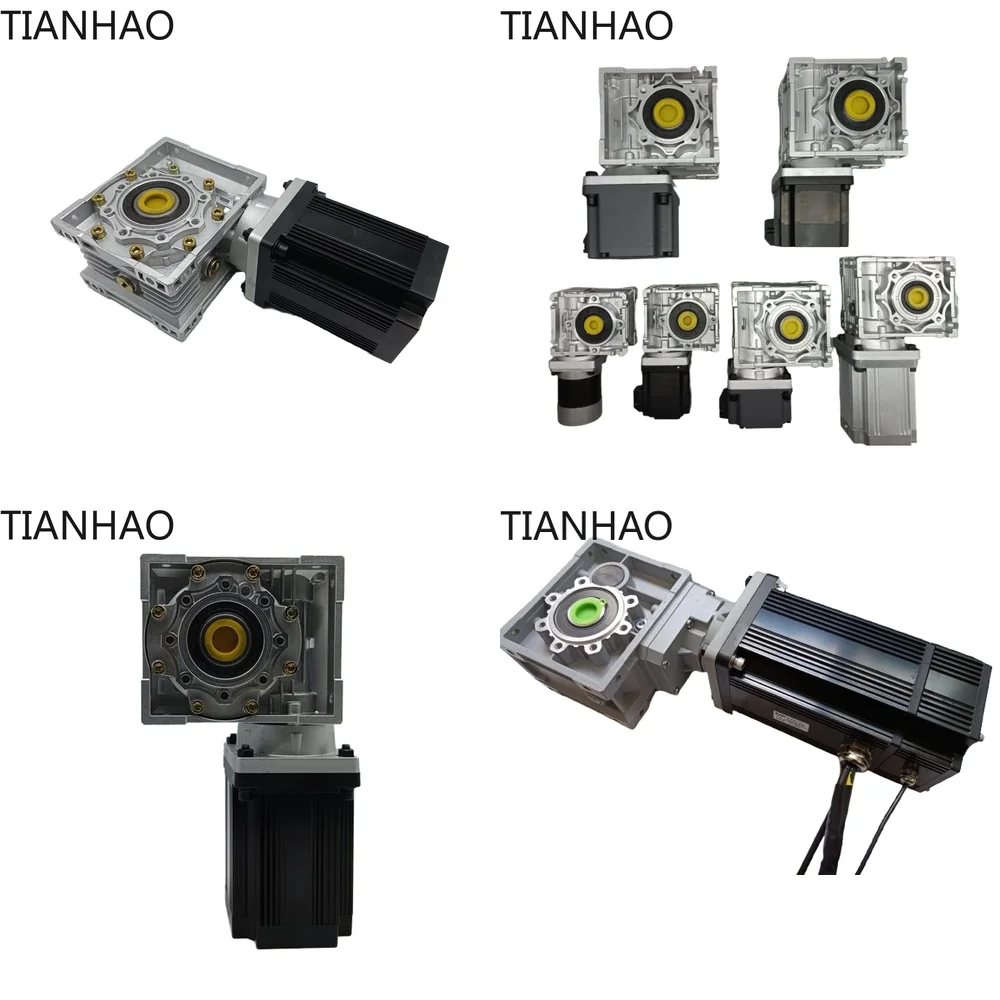 High Torque 1500W 2000W 3000W 4000W 5000W 6000W 48V Brushless Worm Gear DC Motor Gear Reduction Motor RV for Vehicle