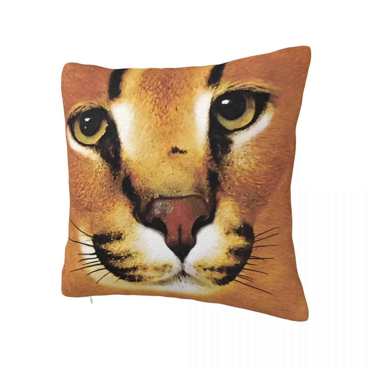 Cute Cat Pillow Cover Square Pillow Case Cushion Cover Cute Funny Graphic Pillowcases For Sofa Car Home Decor