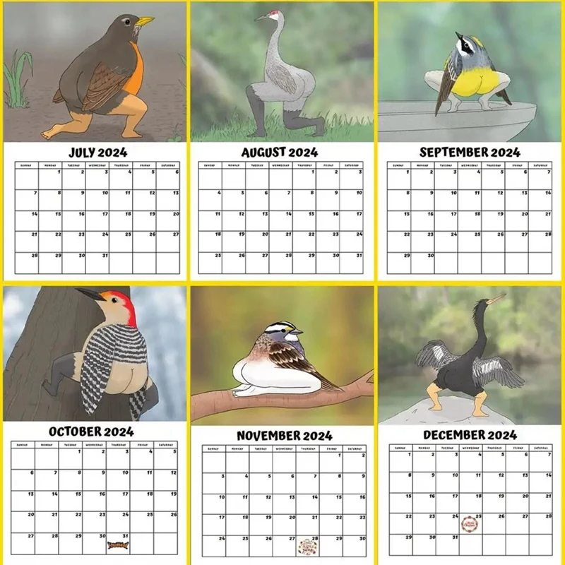Desk Calendar Set Kit 2024 Calendar Kit Of Extremely Accurate Birds Cartoon Standing Flipdesktop Calendar Daily Planning Monthly