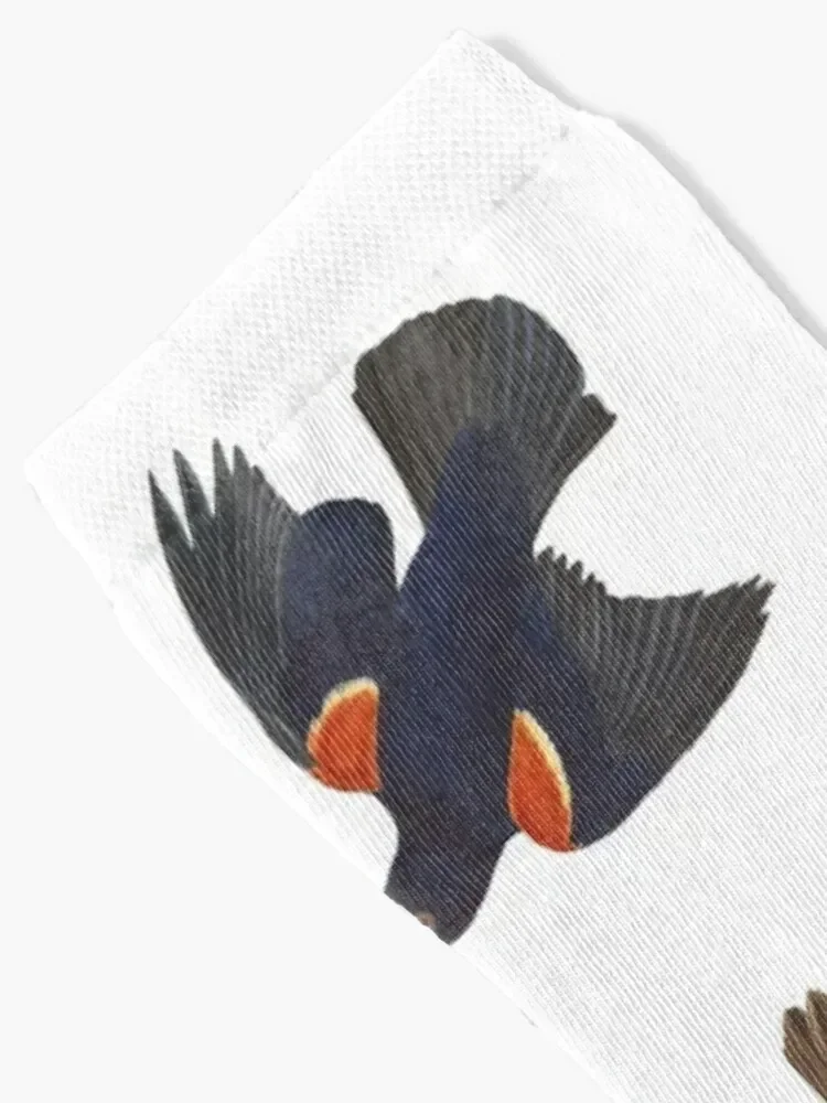 Red-winged Blackbird / Vintage birds prints and patterns Socks Rugby essential Woman Socks Men's