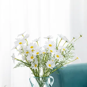 6 Büyük satış, çiçek, papatya, beyaz no. 4