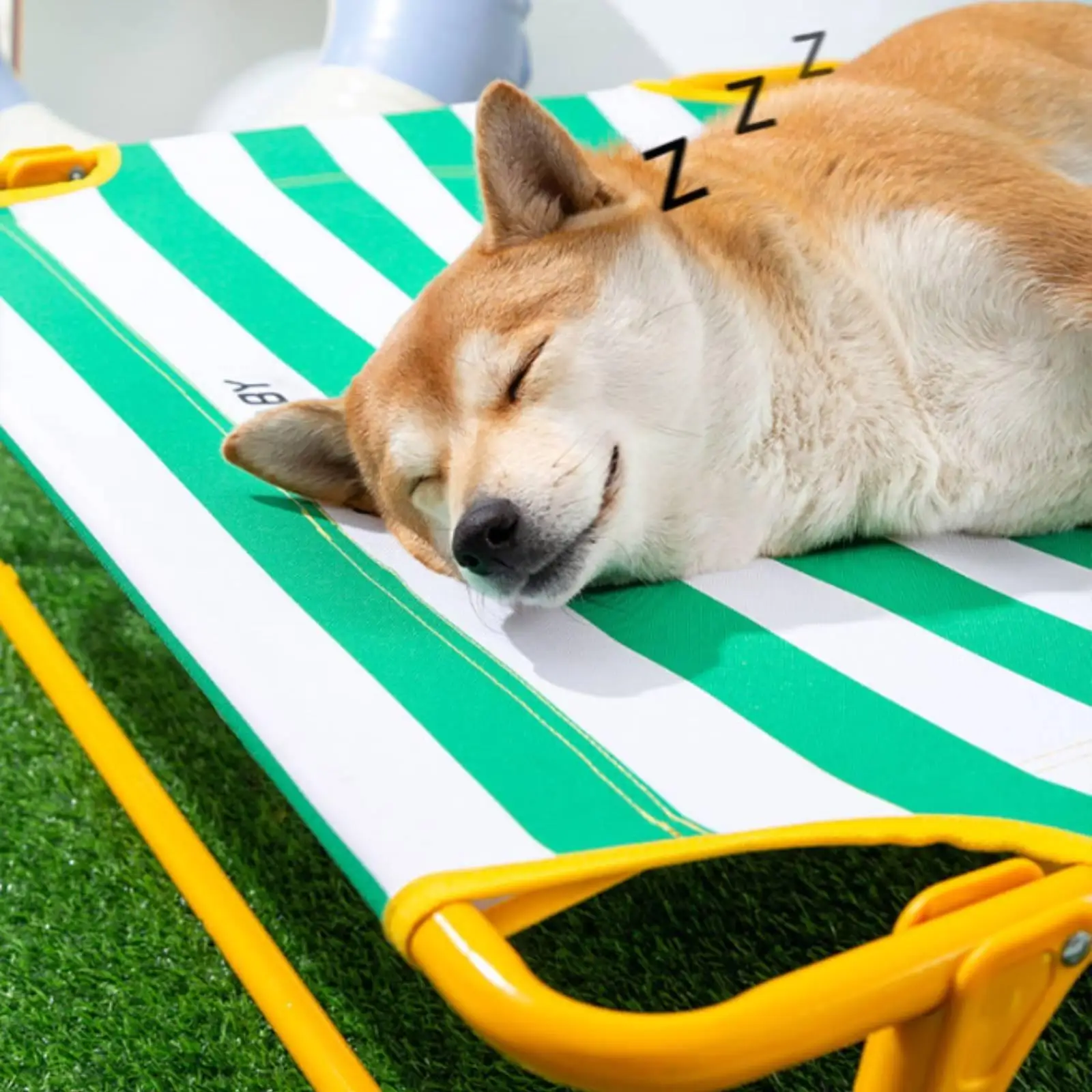 Lit surélevé rafraîchissant pour chiens, plateforme de repos avec maille respirante et cadre en acier, utilisation intérieure et extérieure
