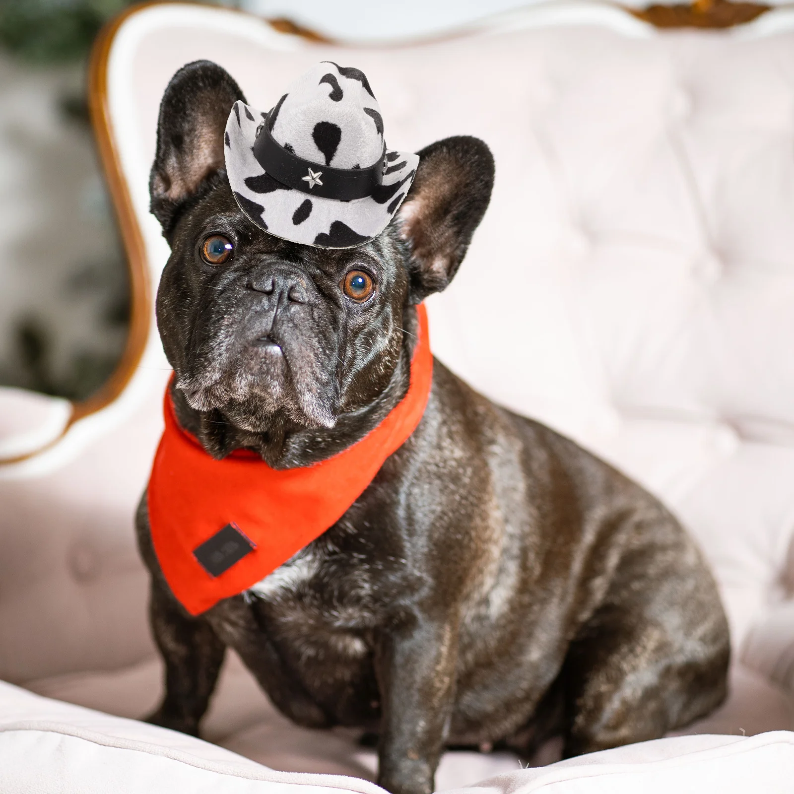 

Pet Cowboy Milk Puppy Accessory Pattern Adjustable Non slip S Size Chin Strap Photo Party Decorative Accessories Dog Cat