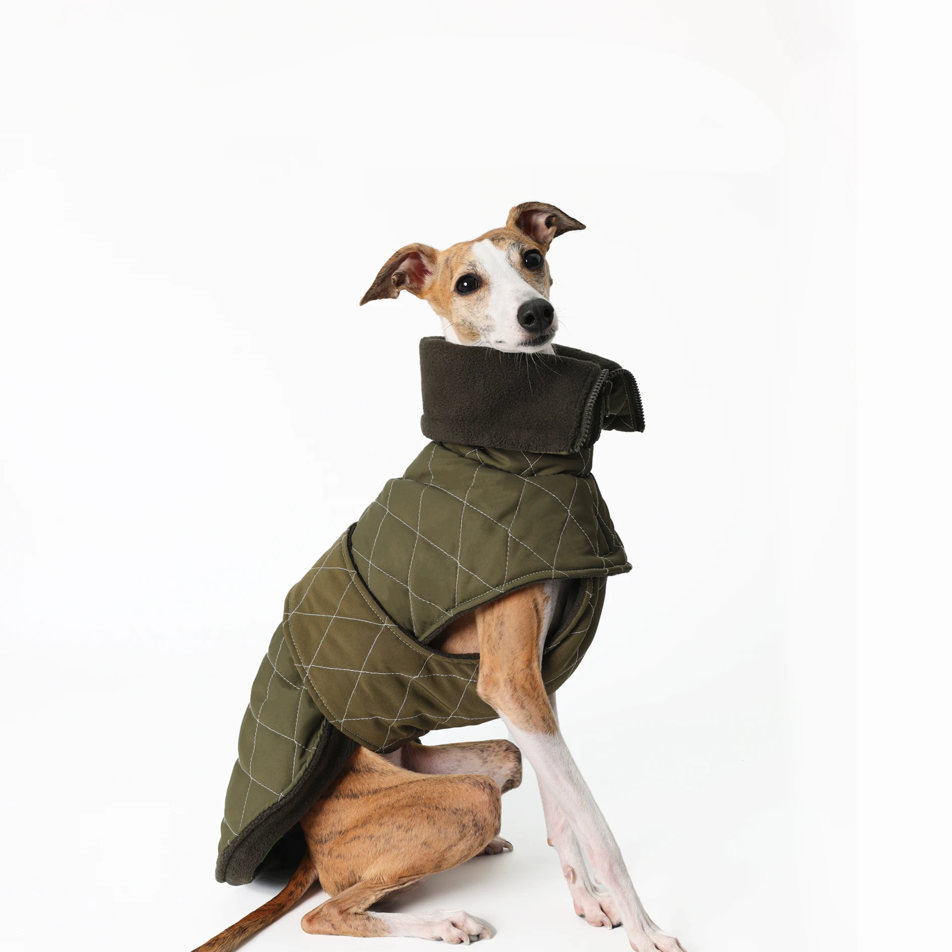 Haute Couture Adjustable Waistband Greyhound Jacket Windproof Warm Cape Clothes for Whippet Dog