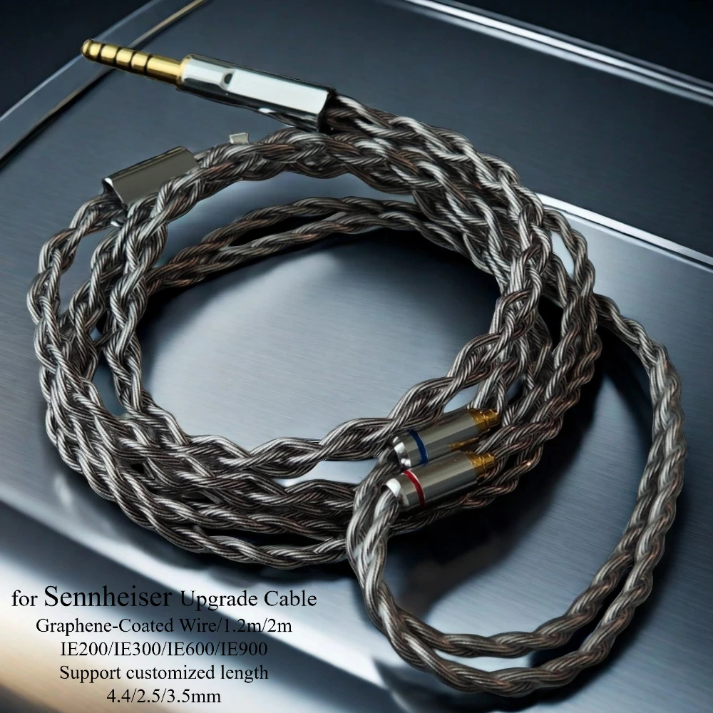 ゼンハイザー IE900 IE600 IE300 IE200 用グラフェンコーティング HiFi
